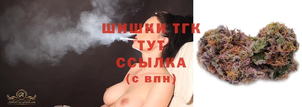 прущие грибы Зерноград