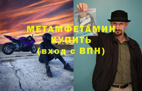 прущие грибы Зерноград