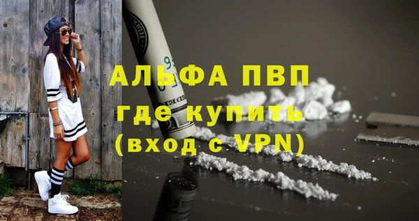 прущие грибы Зерноград