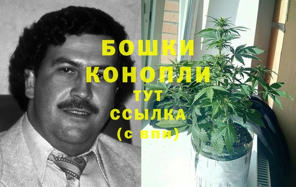 прущие грибы Зерноград