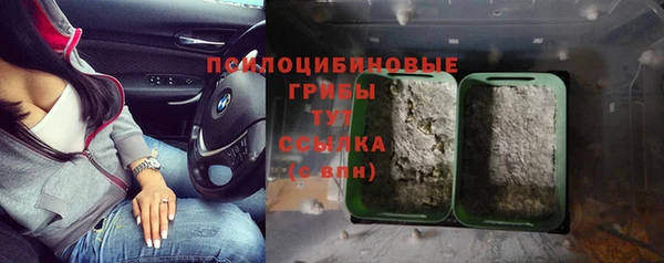 соль ск Зеленокумск