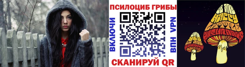 Купить закладки  Зима  Галлюциногенные грибы GOLDEN TEACHER 